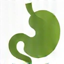 Icône de meilleure digestion