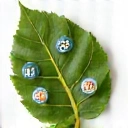 Feuille d'arbre avec symboles digestifs, représentant les troubles digestifs